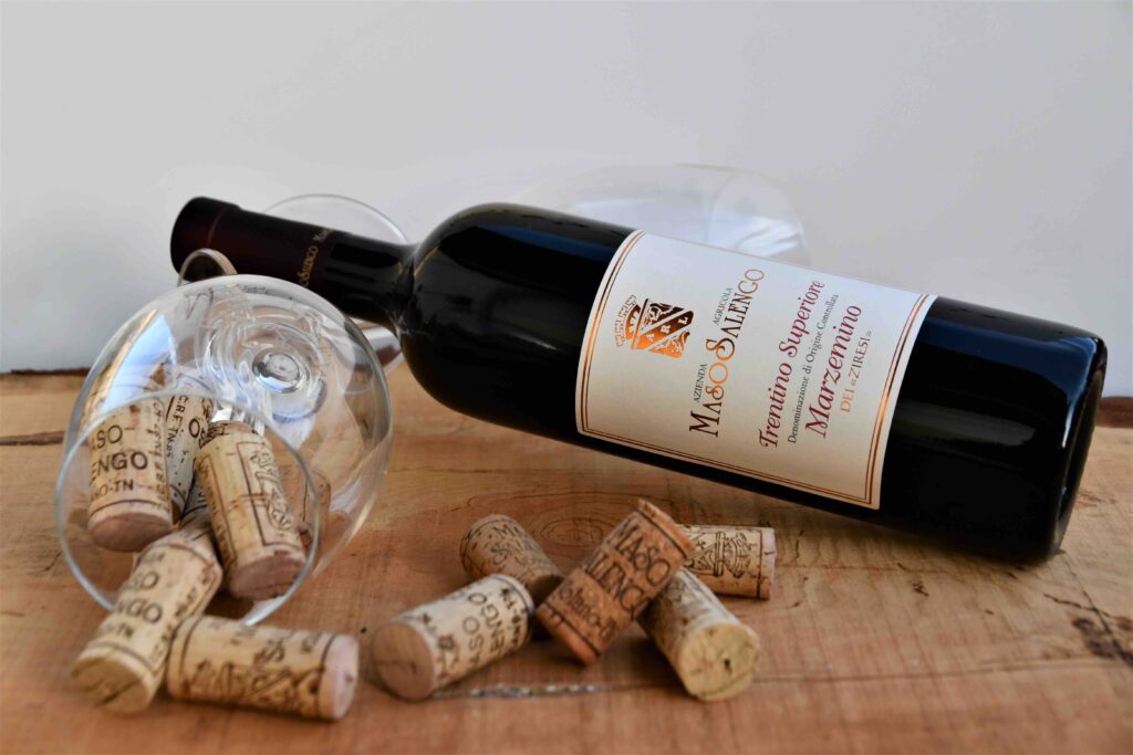 MASO-SALENGO-CANTINA-VINI